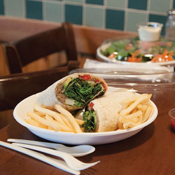Food Containers & Lids