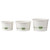 16oz GreenStripe Paper Food Container