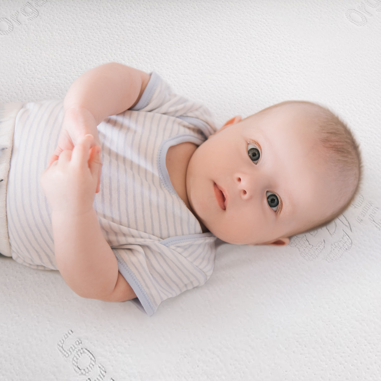 Ｎ　Organic Amazon.com : Grow 3-1-2 Organic Liquid Fertilizer