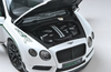 1/18 Almost Real Bentley Continental GT3R GT3 R (White) Limited 1999