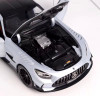 1/18 Dealer Edition Mercedes-Benz MB Mercedes AMG GTR Black Series (Silver) Diecast Car Model