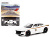 2015 Dodge Charger Pursuit White with Gold Stripes "Absaroka County Sheriff's Department" "Hobby Exclusive" 1/64 Diecast Model Car by Greenlight