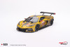 1/18 Top Speed Chevrolet Corvette C8.R #33 Corvette Racing 2023 Le Mans 24 Hrs LM GTE AM Class Winner Post-Race Weathered Car Model