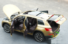 1/18 Dealer Edition Skoda Kodiaq (Gold / Champagne) Diecast Car Model