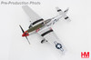 1/48 Hobby Master P-51D Mustang 335 FS/4 FG "Captain Ted Lines" Diecast Model