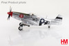 1/48 Hobby Master P-51D Mustang 335 FS/4 FG "Captain Ted Lines" Diecast Model