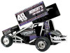 1/50 ACME 2025 #48 Weikert's Livestock Sprint Car - Danny Dietrich Diecast Car Model
