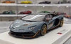 1/18 Makeup Lamborghini Aventador SVJ #63 (Grey) Car Model