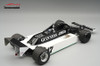 1/18 Tecnomodel March 811 1981 USA GP Driver: D.Daly Limited Edition Car Model