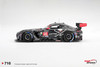 1/18 Top Speed Mercedes-AMG GT3 #69 GetSpeed 2026 IMSA Daytona 24 Hrs Car Model