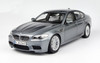 1/18 Paragon BMW M5 (F10) (Grey) Diecast Car Model