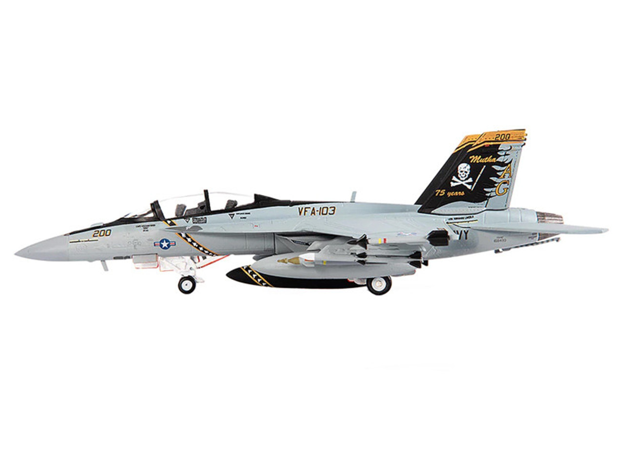 ゾエ Grumman F-14B Tomcat Fighter Aircraft 