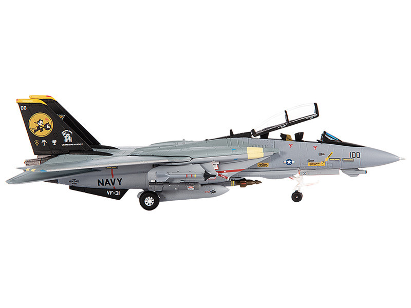Grumman F-14D Tomcat Fighter Aircraft 