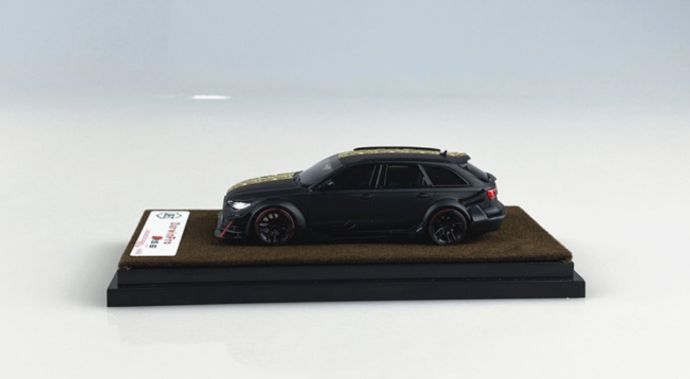 1/64 jec DarwinPro アウディ AUDI rs6 迷彩