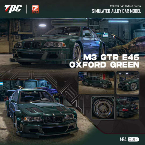 1/18 TPC BMW M3 E46 GTR ALMS #6 Diecast Car Model - LIVECARMODEL.com