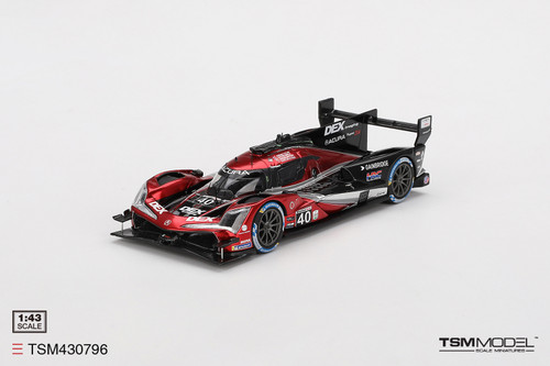 1/43 TSM 2024 Acura ARX-06 GTP #10 Wayne Taylor Racing with
