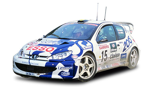 1/18 Sunstar 1999 Peugeot 206 WRC #15 G.Panizzi, H.Panizzi 2nd Rally Sanremo Diecast Car Model