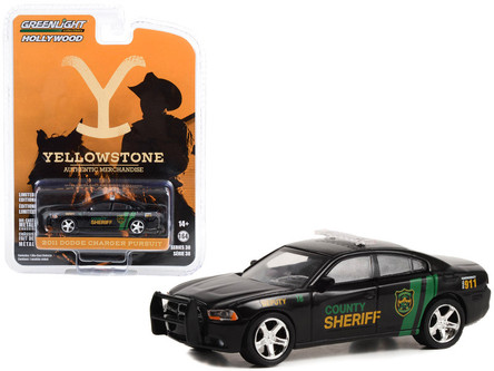 2011 Dodge Charger Pursuit #18 