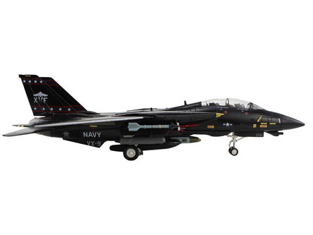 Grumman F-14D Tomcat Fighter Aircraft 