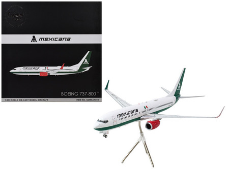 Boeing 737-800 Commercial Aircraft 