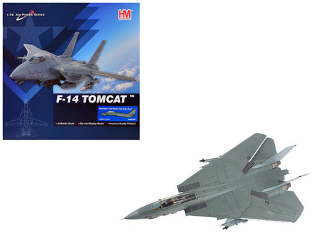 Grumman F-14A Tomcat Fighter Aircraft 