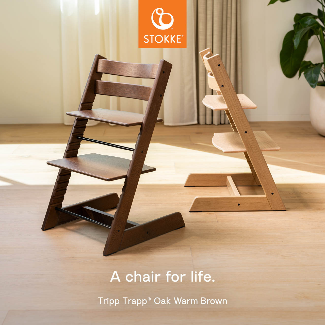 STOKKE TRIP TRAP Oak Warm Brown