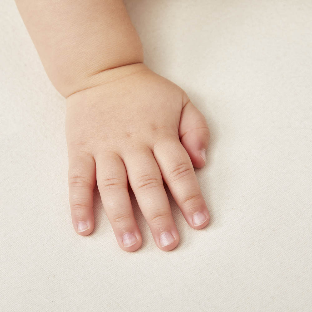 chicco mattress protector