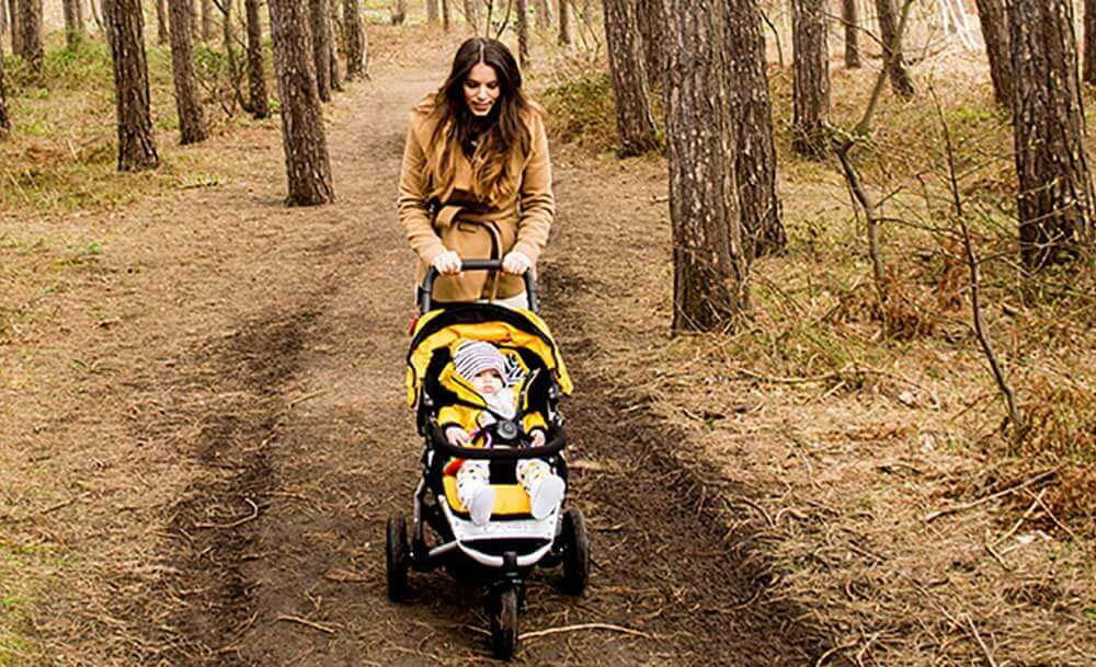 mountain buggy mini stroller