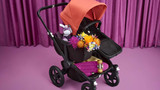 Bugaboo Donkey 5 Mono Stroller on Graphite/Grey Chassis - Choose Your Colour
