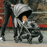 egg® Z Stroller - Seagrass