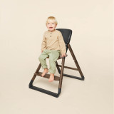 Ergobaby Evolve 3-in-1 High Chair - Dark Wood