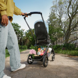 Bugaboo Dragonfly Complete - Graphite/Grey Melange