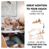 Hauck Alpha+ Play Sorting Wooden Playset
