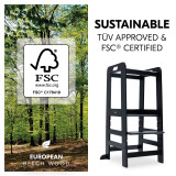 Hauck Learn N Explore Learning Tower - Black