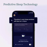 Owlet Dream Sock - Dusty Rose