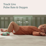 Owlet Dream Duo - Mint