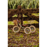Trybike Matte 2-in-1 Balance Trike - Vintage Green