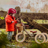 Trybike Matte 2-in-1 Balance Trike - Vintage Green