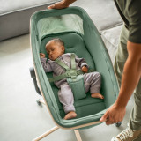 Maxi Cosi Alba All-in-1 Bassinet - Beyond Graphite