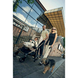 Mamas & Papas Vardo - Shell