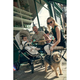 Mamas & Papas Vardo - Shell