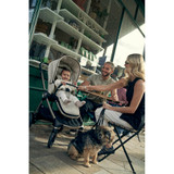 Mamas & Papas Vardo - Shell