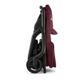 Bugaboo Dragonfly Complete Bundle - Black/Dark Cherry
