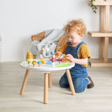 Bigjigs Animal Activity Table