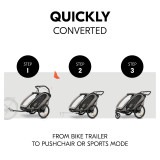 Hauck Bike N Walk Duo - Light Grey
