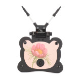 Roma 4 Rider Toddler Seat and Ride On Board - RHS Flora
