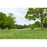 Ickle Bubba Venus Jogger Pro (lifestyle)