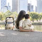 Britax Römer FLYLITE Stroller - Teak