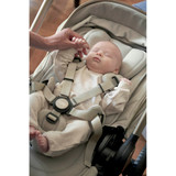 Mamas & Papas Ocarro 2 Special Edition - Shell (lifestyle)
