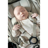 Mamas & Papas Ocarro 2 Special Edition - Shell (lifestyle)
